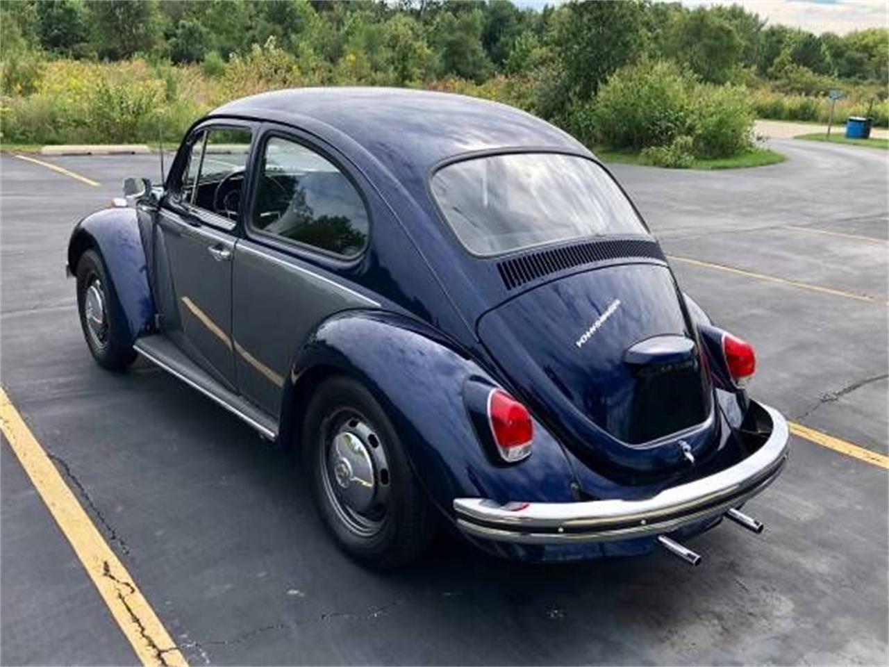 Vw Bug Parts