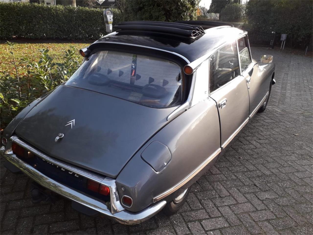 Citroen D Special For Sale Classiccars Cc