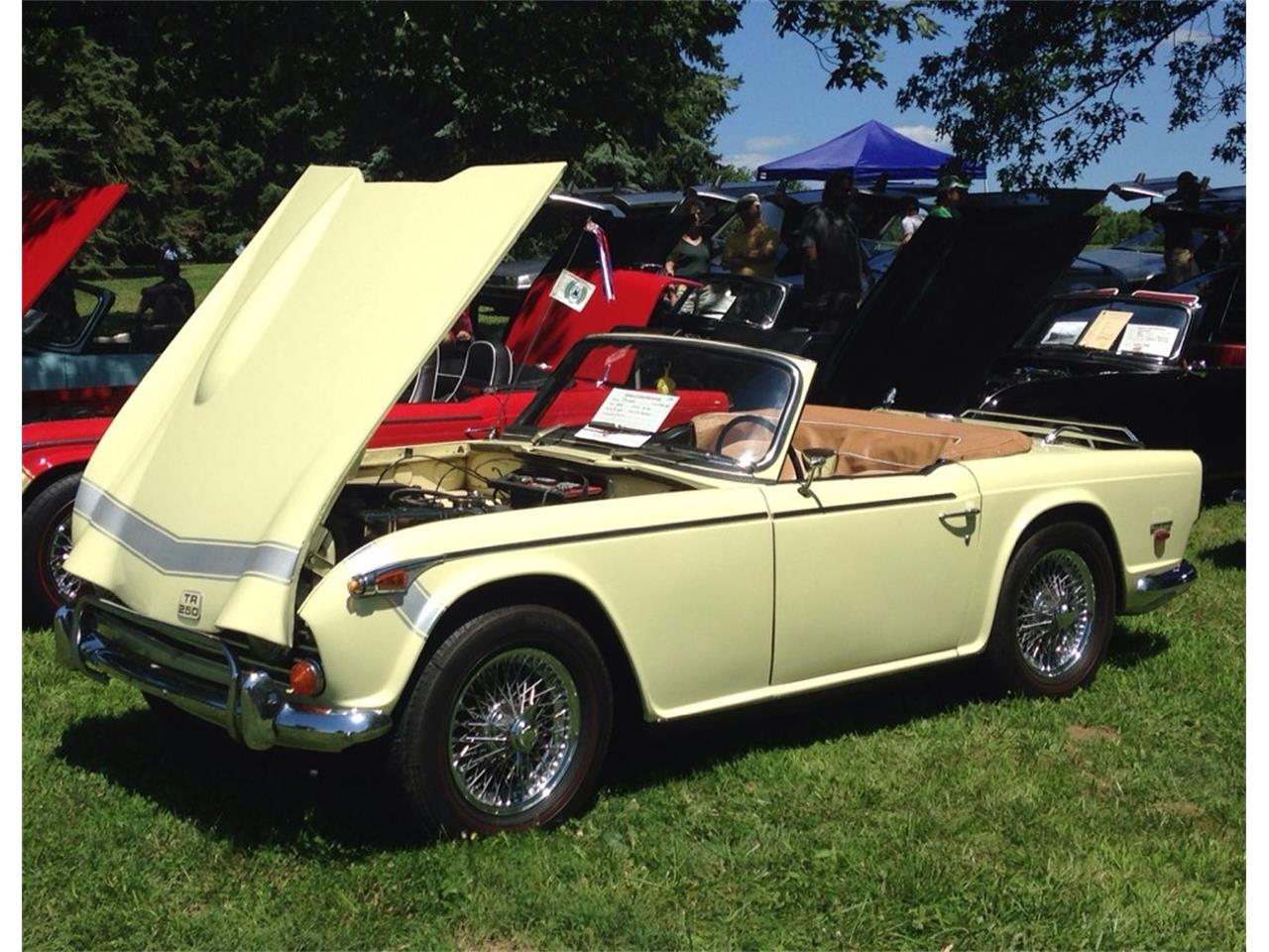 1968 Triumph TR250 For Sale ClassicCars CC 1196817