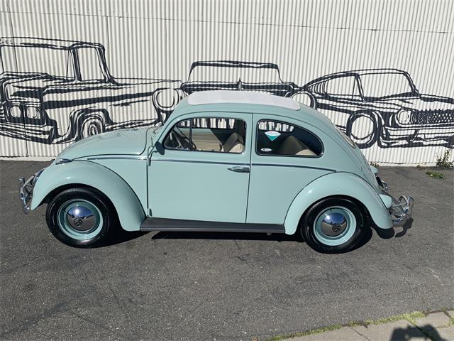 Volkswagen Beetle For Sale Classiccars Cc