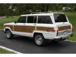 1989 Jeep Wagoneer (CC-1001396) for sale in Kerrville, Texas