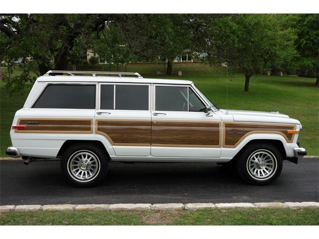 1989 Jeep Wagoneer (CC-1001396) for sale in Kerrville, Texas