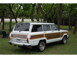 1989 Jeep Wagoneer (CC-1001396) for sale in Kerrville, Texas