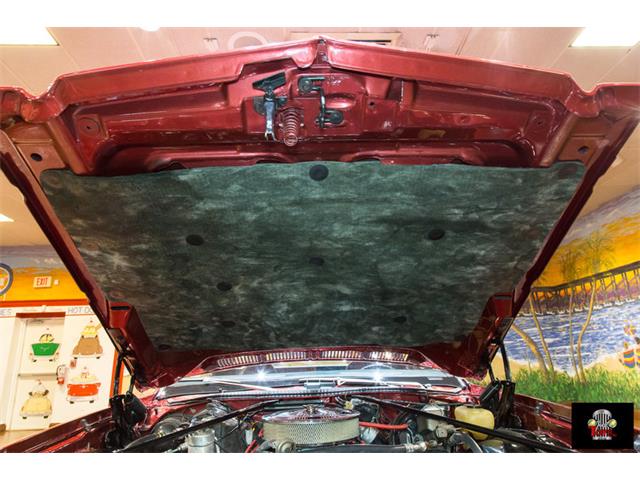 1974 Chevrolet El Camino SS (CC-1002248) for sale in Orlando, Florida