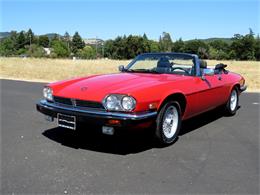 1990 Jaguar XJS (CC-1002418) for sale in Sonoma, California