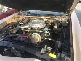 1977 Ford Ranchero (CC-1002448) for sale in Orlando, Florida