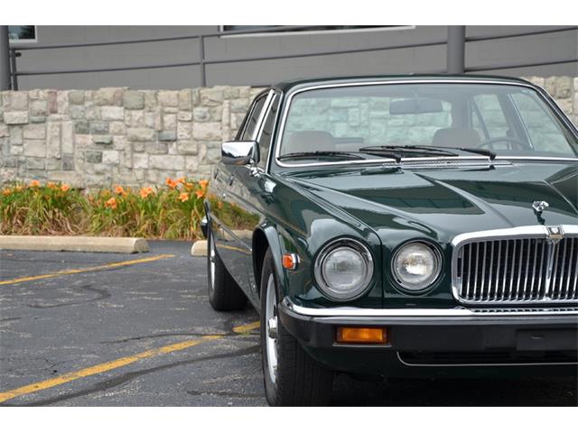 1987 Jaguar XJ6 (CC-1002578) for sale in Holland, Michigan