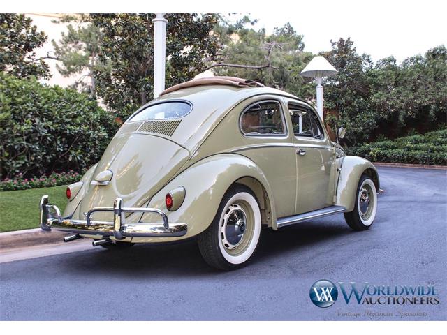 1956 Volkswagen Beetle (CC-1003041) for sale in Pacific Grove, California