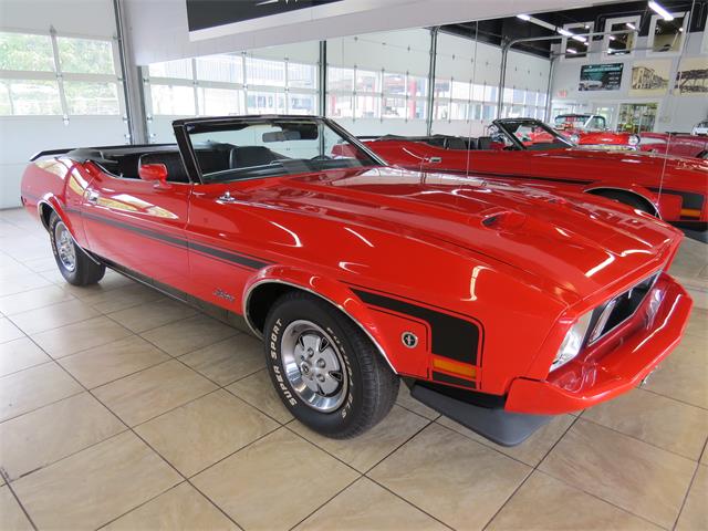 1973 Ford Mustang (CC-1003979) for sale in St. Charles, Illinois