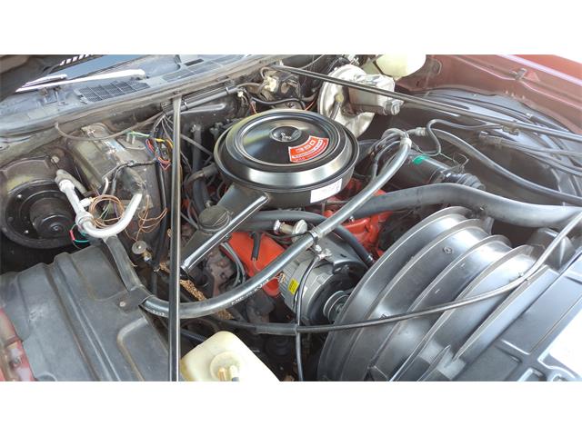 1973 Chevrolet Monte Carlo (CC-1004228) for sale in Phoenix, Arizona