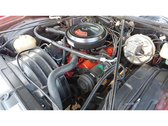 1973 Chevrolet Monte Carlo (CC-1004228) for sale in Phoenix, Arizona