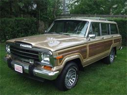 1990 Jeep Wagoneer (CC-1004460) for sale in Mokena, Illinois