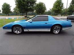 1985 Pontiac Firebird Trans Am (CC-1005299) for sale in Paris , Kentucky