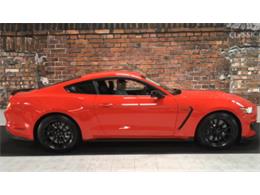 2016 Shelby GT350 (CC-1000569) for sale in Greensboro, North Carolina