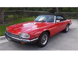 1982 Jaguar XJS Lynx Spyder Conversion (CC-1005947) for sale in Greensboro, North Carolina