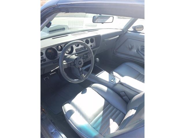 1979 Pontiac Trans Am 10th Anniversary Edition (CC-1006035) for sale in Greensboro, North Carolina