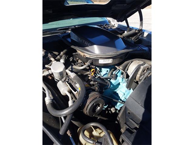 1979 Pontiac Trans Am 10th Anniversary Edition (CC-1006035) for sale in Greensboro, North Carolina