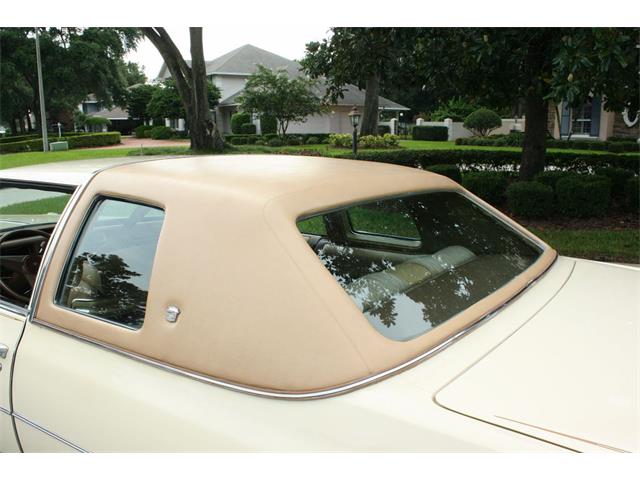 1976 Cadillac Coupe DeVille (CC-1007439) for sale in lakeland, Florida