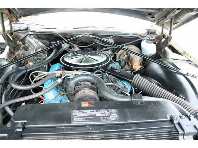 1976 Cadillac Coupe DeVille (CC-1007439) for sale in lakeland, Florida