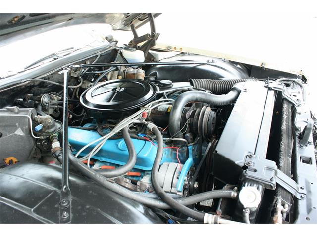 1976 Cadillac Coupe DeVille (CC-1007439) for sale in lakeland, Florida