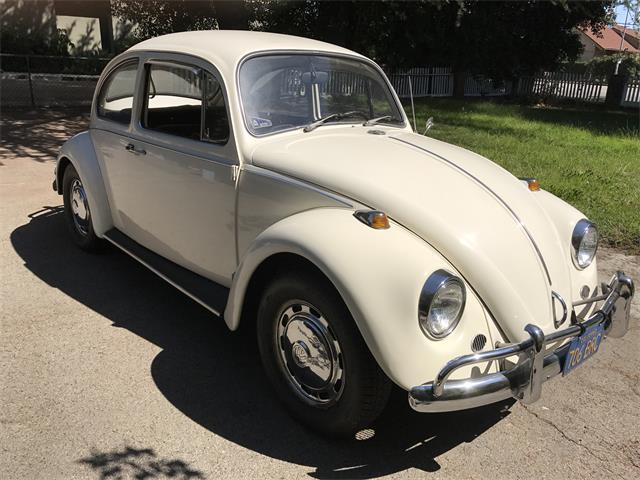 1967 Volkswagen Beetle (CC-1008033) for sale in Sherman Oaks, California
