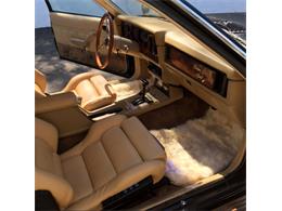 1983 Zimmer Golden Spirit (CC-1008172) for sale in Sherman Oaks, California