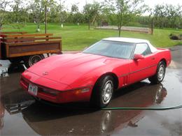 1986 Chevrolet Corvette (CC-1008717) for sale in Roberts, Wisconsin