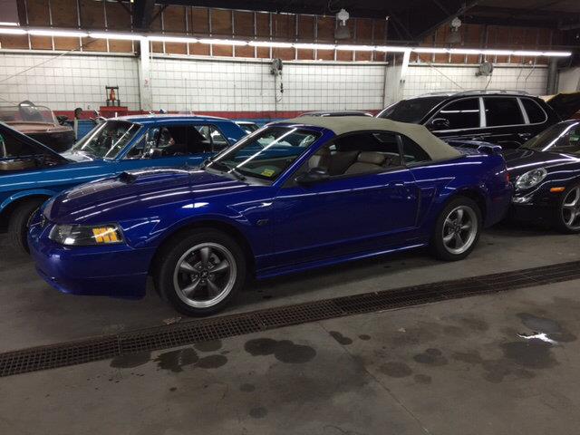 2003 Ford Mustang (CC-1009052) for sale in Springfield, Massachusetts