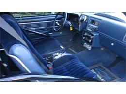 1981 Chevrolet Malibu SS (CC-1009471) for sale in Auburn, Indiana