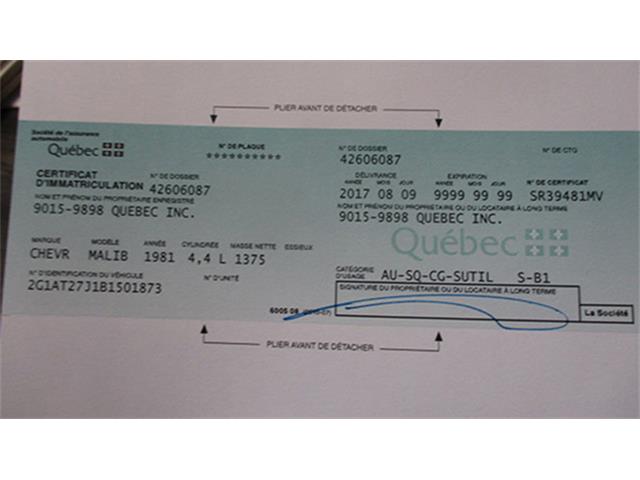 1981 Chevrolet Malibu SS (CC-1009471) for sale in Auburn, Indiana