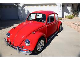 1967 Volkswagen Beetle (CC-1009607) for sale in Prescott, Arizona