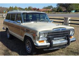 1987 Jeep Grand Wagoneer (CC-1009630) for sale in Kerrville, Texas