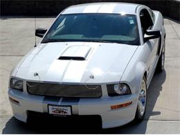 2007 Shelby Mustang (CC-1011045) for sale in Hilton, New York