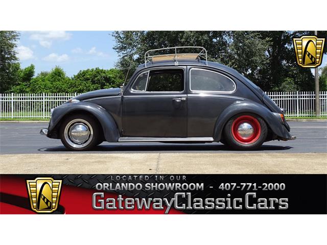 1967 Volkswagen Beetle (CC-1011476) for sale in Lake Mary, Florida