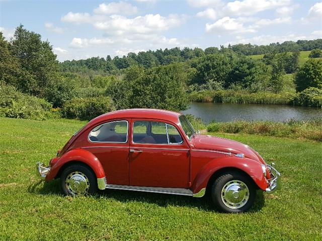 1967 Volkswagen Beetle For Sale | ClassicCars.com | CC-1011950