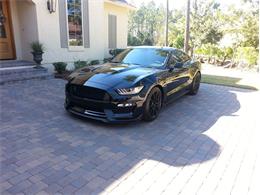 2016 Shelby GT350 (CC-1011987) for sale in St.Marys, Georgia