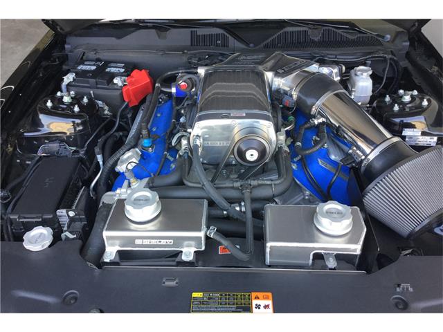 2013 Shelby GT500 SUPER SNAKE (CC-1011993) for sale in Las Vegas, Nevada