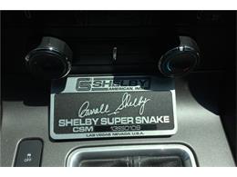 2013 Shelby GT500 SUPER SNAKE (CC-1011993) for sale in Las Vegas, Nevada
