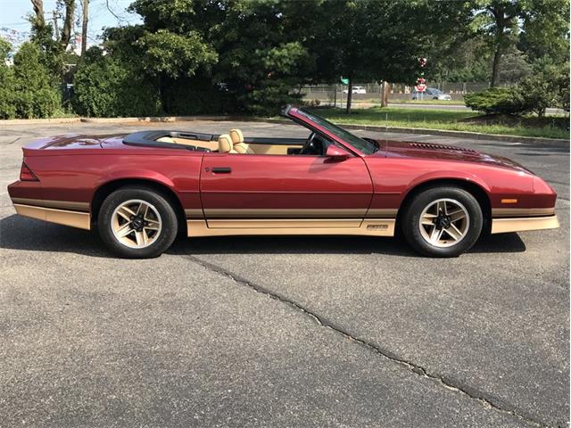 1987 Chevrolet Camaro Z28 (CC-1012663) for sale in West Babylon, New York