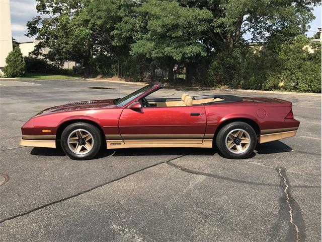 1987 Chevrolet Camaro Z28 (CC-1012663) for sale in West Babylon, New York