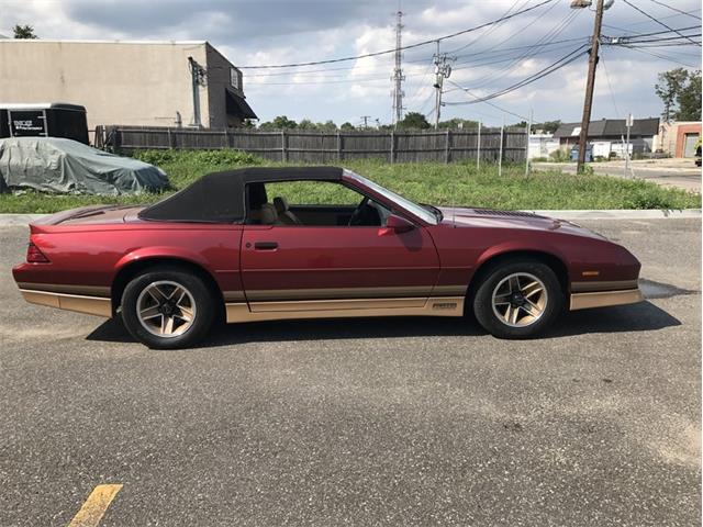 1987 Chevrolet Camaro Z28 (CC-1012663) for sale in West Babylon, New York