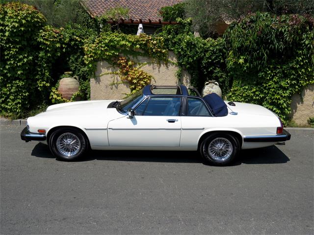 1987 Jaguar XJ (CC-1012767) for sale in Sonoma, California