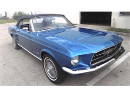 1967 Ford Mustang (CC-1012981) for sale in POMPANO BEACH, Florida