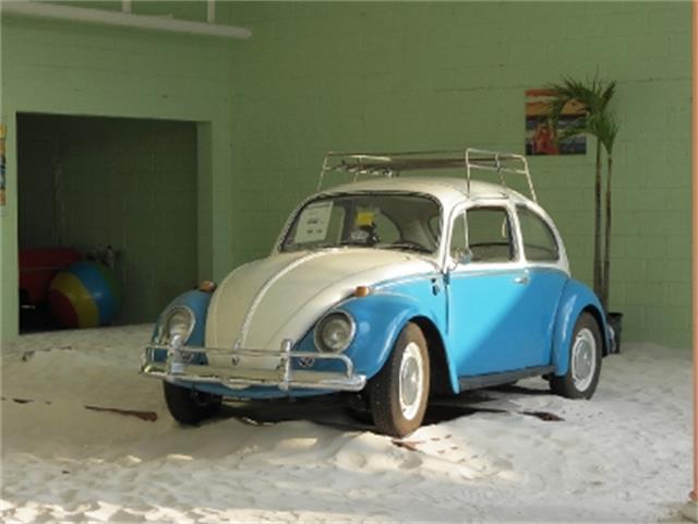 1966 Volkswagen Beetle (CC-1013417) for sale in Miami, Florida