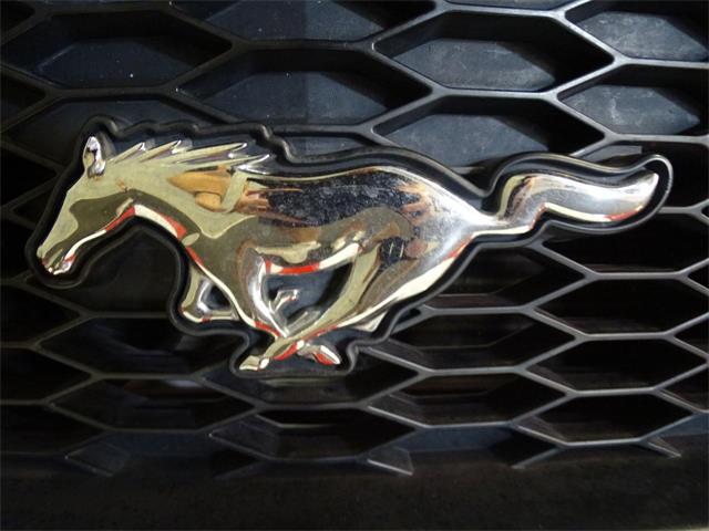 2006 Ford Mustang (CC-1013998) for sale in Ruskin, Florida