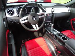 2006 Ford Mustang (CC-1013998) for sale in Ruskin, Florida