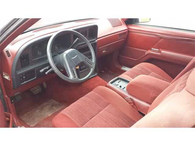 1986 Ford Thunderbird (CC-1014660) for sale in Crookston, Minnesota