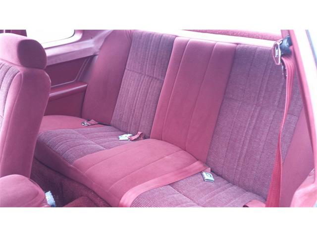 1986 Ford Thunderbird (CC-1014660) for sale in Crookston, Minnesota