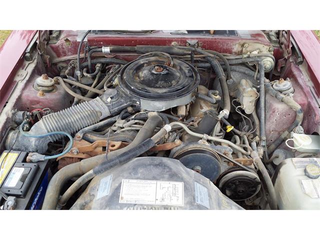 1986 Ford Thunderbird (CC-1014660) for sale in Crookston, Minnesota