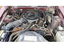 1986 Ford Thunderbird (CC-1014660) for sale in Crookston, Minnesota